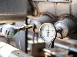 IMG_20251204_003557_056 (1)